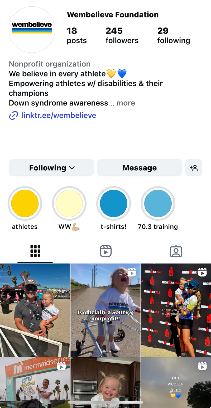 Instagram page preview
